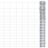 vidaXL Záhradný plot pozinkovaná oceľ 50x1,6 m strieborný - Srieborná - 487-487