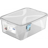 Rotho Úložný box LONA 10L