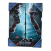 SD Toys Harry Potter Glass Plakát Harry & Voldemort 30 x 40 cm