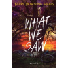 What We Saw - Mary Downing Hahn