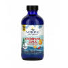 Tekutina Omega-3 Children's DHA Nordic Naturals 300 g jahodová