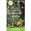 E-kniha Tajemství platanového knoflíku - Heather Webber
