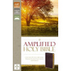 Amplified Holy Bible, Bonded Leather, Burgundy, Thumb Indexed