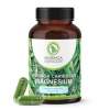 Moringa Caribbean Magnesium - Čistý prášok zo sušených listov Moringa Caribbean vo vegan kapsuliach obohatený o Magnesium Bisglycinát a Vitamín B6, 120 kapsúl