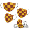 Detské ochranné rúško na ústa Harry Potter: Nebelvír - Gryffindor - Harry Potter