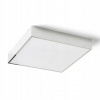 RENDL R13698