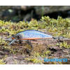 Wobler SHIMANO Cardiff Refrain 50HS - Black Bait