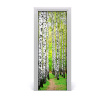 Fototapeta na dvere Břízová les 75x205