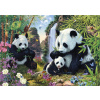 DINO Puzzle Secret Collection: Pandy 1000 dielikov