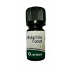 Armina Bio zmes esenciálnych olejov do difuzéra Malachite forest 5 ml