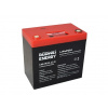 GOOWEI ENERGY Trakčná batéria (LiFePO4) CNLFP50-12.8, 50 Ah, 12.8 V CNLFP50-12.8