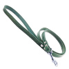 Vodítko Tamer Leather Classic zelené, šírka 1,4 cm, dĺžka 145 cm