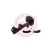 TLMICE PEROVANIA ,300138-PCS-MS ,MASTER-SPORT