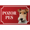 Drsnosrstý foxteriér - Kovová tabuľka POZOR PES