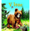 V lese - Kolektív