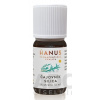 Hanus - Bylinné prípravky HANUS SILICA ČAJOVNÍK ole 1x10 ml