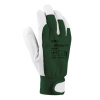 Rukavice pracovné, kombinované HOBBY zelené veľ. 8/M