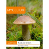 Podhubie Kozák brezový Mycélium 10 g