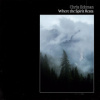 Eckman Chris - Where the Spirit Rest [CD]