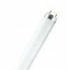 Osram Žiarivka G13 T8 58 W 880 skywhite LUMILUX l58w/880