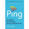 Ping