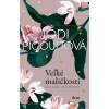 Veľké maličkosti - Jodi Picoultová