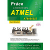 Práce s mikrokontroléry ATMEL AT89S8252 - David Matoušek