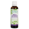 Dr.POPOV Kvapky bylinné Breza previsnutá 50ml