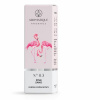 Aromatique Pink Sand Vonný olej s vôňou Ružový piesok, 12ml