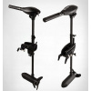 Haswing Osapian 55 Lb