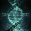 Disturbed: Evolution - Disturbed