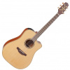 Takamine P3DC
