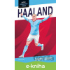 E-kniha Hvězdy fotbalového hřiště - Haaland - Harry Coninx, Ben Farr (Ilustrátor)