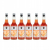 6 x barmanský sirup RIOBA na nápoje MELON 0,7