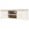 zahrada-XL TV stolík, 120x30x40 cm, biely 245457