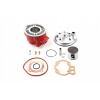 Cylinder Hlava Airsal Nicasil 48 mm AM6 Aprilia RS Yamaha DTX TZR DTR 2T