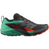 Trailové topánky Salomon SENSE RIDE 5 l47698200 Veľkosť 45,3 EU | 10,5 UK | 11 US | 28,5 CM