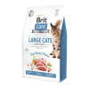 Brit Care Cat Grain-Free Large cats Power & Vitality 2 kg