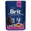 BRIT Premium cat Kapsička Adult Salmon & Trout 100 g