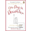 One Day in December (Josie Silverová)