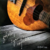 Záviš - Syn vojáka [CD]