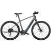 Crosový elektrobicykel Trek Dual Sport+ 2 - Galactic Grey XL 2023