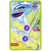 Domestos Power 5 Lime tuhý WC blok 2 x 50 g