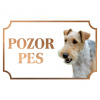 Drsnosrstý foxteriér - Kovová tabuľka POZOR PES