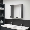 zahrada-XL LED kúpeľňová zrkadlová skrinka sivá 62x14x60 cm 326520