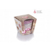 Bartek Candles Home Sweet Home - Nice & Cosy 115g