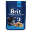BRIT Premium cat Kapsička Kitten Chicken Chunks 100 g