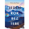 Jeden rok bez tebe - Nina de Pass