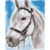 Vymalujsisam.sk Maľovanie podľa čísiel - Biely koník Veľkosť: 40x50cm, Rám: Bez rámu, iba zrolované plátno