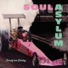 Slowly but Shirley Soul Asylum Vinyl